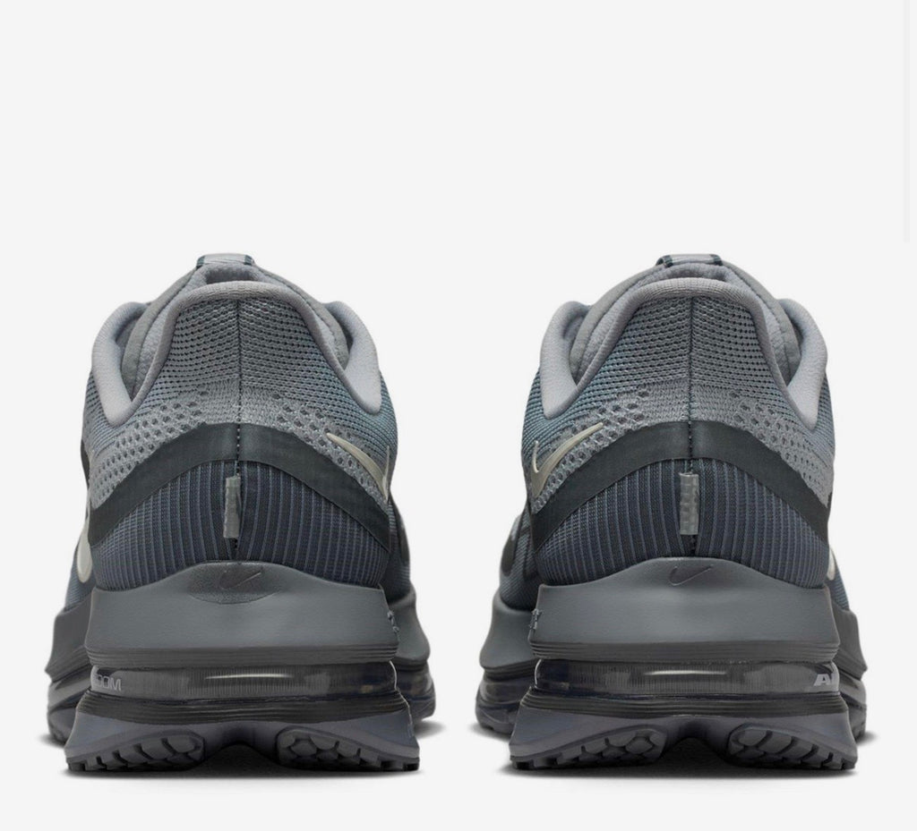 Pegasus Grey